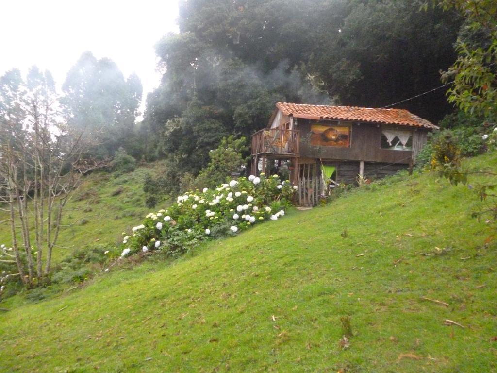 Lagunillas Del Poas Villa Poasito Exterior foto