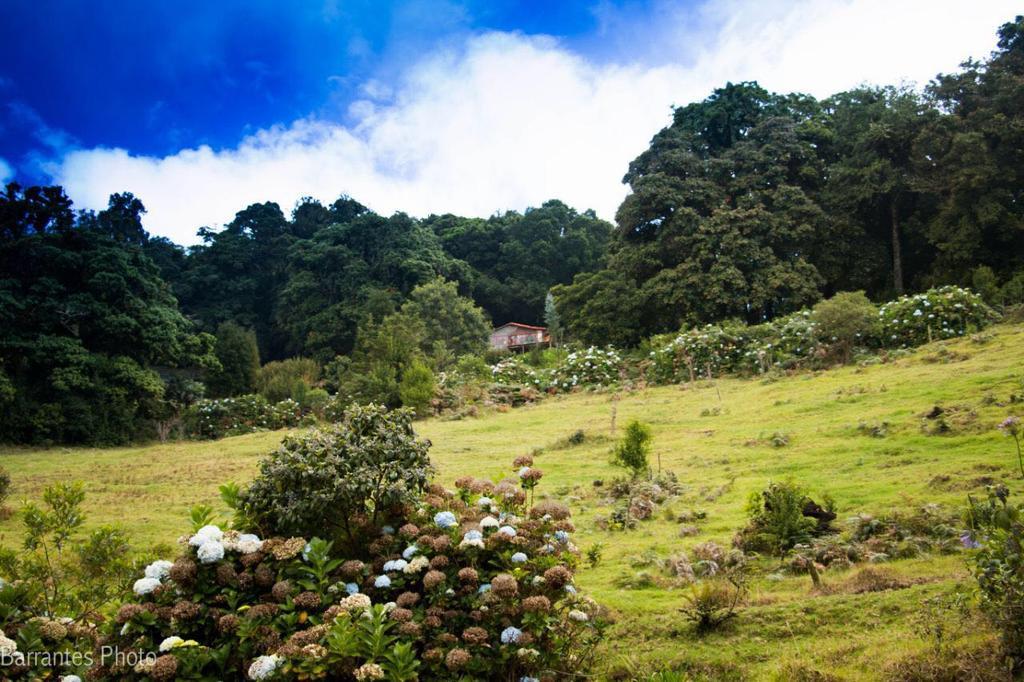 Lagunillas Del Poas Villa Poasito Exterior foto