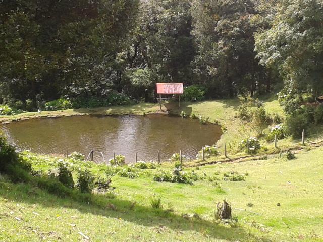 Lagunillas Del Poas Villa Poasito Exterior foto